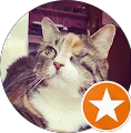Brunella's profile picture