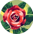 Stefania's profile picture