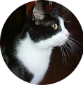 Elisabetta's profile picture