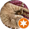 Antonia's profile picture