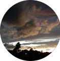 MONICA's profile picture